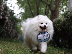 -港澳广场购物中心