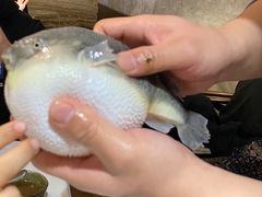 -肆月河豚·新淮扬(金融街店)