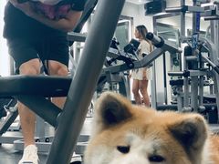 -YCHL Studios健身工作室(市二宫店)