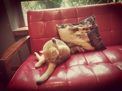 -咖法森林·咖啡  酒吧(天河店)