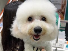 -心仪动物医院·牙专科·肿瘤·心脏科(西客站院)