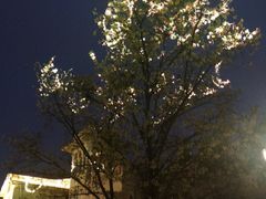 -天津意大利风情旅游区