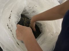 -华园农庄·特色炭烧鸡·北江河鲜