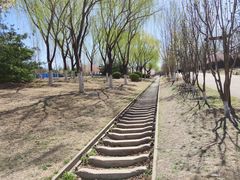 -永定河休闲森林公园