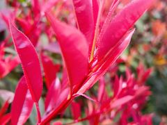 -杭州城北体育公园