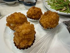 -丁老爷子苏香圆