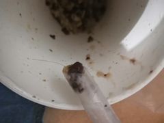 -沪上阿姨·精选茶饮(滨海永旺梦乐城店)