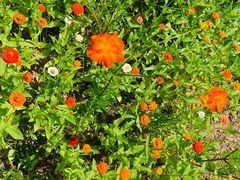 -漩门湾国家湿地公园