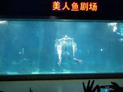 -福州罗源湾海洋世界旅游区