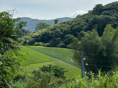 -黄埔油麻山森林公园