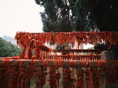 -四门塔风景区