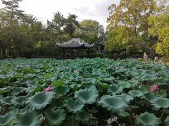 -无锡蠡湖国家湿地公园-蠡园