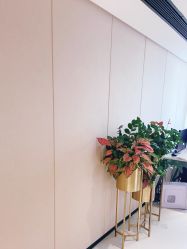 -广东韩妃整形外科医院