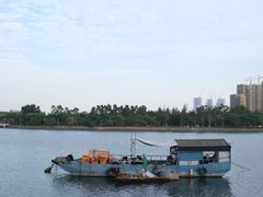 -五缘湾湿地公园