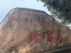 -珍宝岛