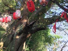-丰都鬼城名山景区