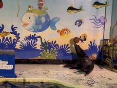 -太平洋海底世界