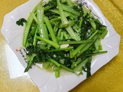 -煲来饱去冷水鱼