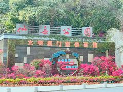 -仙岳公园