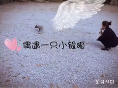 -龙道沟景区