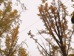 -百林公园-两江幸福广场