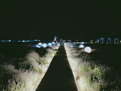 -西域欢乐城