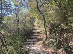 -杭州半山国家森林公园