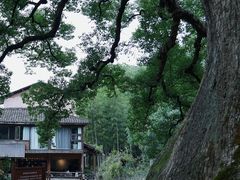 -古堰画乡景区