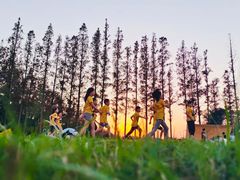 -前小桔亲子创意农场·草莓采摘·露营烧烤