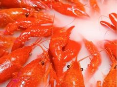 -红盔甲·小龙虾(定西路店)