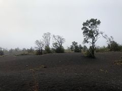 -夏威夷火山国家公园