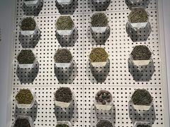 -中国茶叶博物馆(双峰馆区)