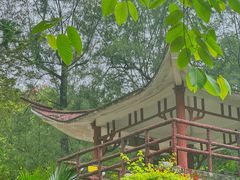 -晓港公园