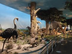 -国家自然博物馆