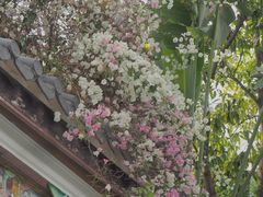 -深圳国际园林花卉博览园