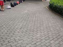 -首都图书馆-咖啡厅
