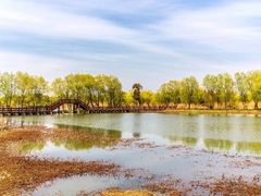 -长兴太湖图影湿地文化园