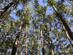 -洛阳白云山景区