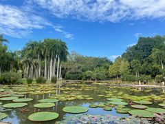 -中国科学院西双版纳热带植物园