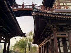 -西安青龙寺遗址景区