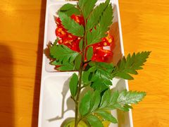 -洪氏嗨捞·广东猪肚鸡·椰子鸡火锅(西咸万象城店)