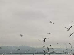-昆明洲际酒店