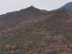 -红螺寺