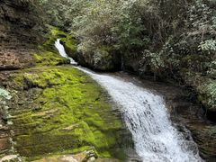 -鹿院坪生态旅游景区