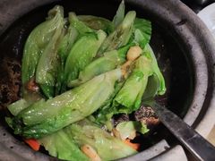 啫啫生菜煲-陶陶居酒家(SM二期购物广场店)