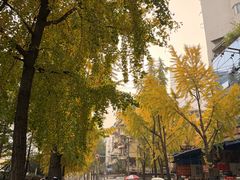 -白家肥肠粉(老东城根街店)