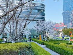 -星巴克(上海长宁来福士1F店)