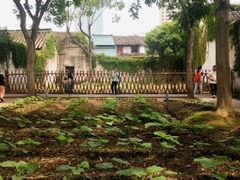 -绍兴鲁迅故里·沈园景区