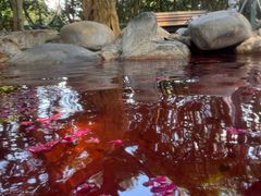 -湖泉半山温泉(湖泉生态园)