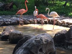 -昆明动物园